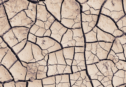 Ciltte Çatlak Neden Oluşur? Nazikçe Yaklaş, Doğru Ürünlerle Destekle