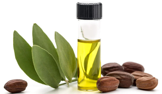 Saçın, Cildin ve Tüm Vücudun için Şifa Kaynağı Jojoba Yağı! Jojoba Yağının Faydaları Neler? Nasıl Kullanmalısın?