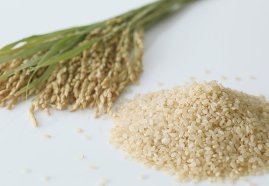 Koreli Kadınların Cam Cilt Sırrı: Pirinç Suyunun Cilde Faydaları