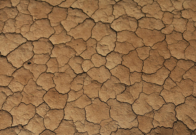 Kuru Cilt Tipine Uygun Tonik Önerileri (Favorilerimizi Keşfet)