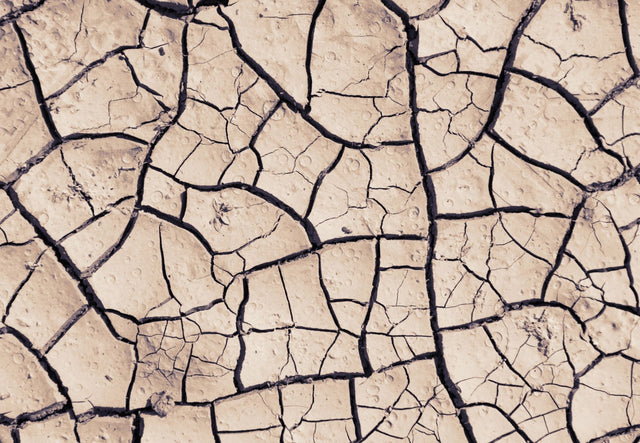 Ciltte Çatlak Neden Oluşur? Nazikçe Yaklaş, Doğru Ürünlerle Destekle