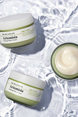 Bring Green Artemisia Calming Water Cream 75ml - Düşük pH Nemlendirici Artemisia Kremi