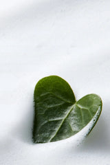 Abib Acne Foam Cleanser Heartleaf Foam 150ml - Kalp Yaprağı Özlü & Akne Karşıtı Köpük Temizleyici